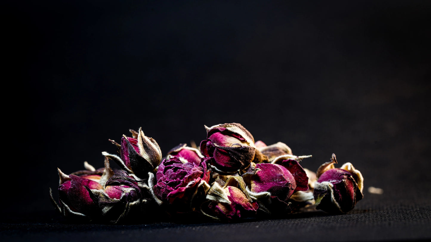 Premium Red Rose Buds