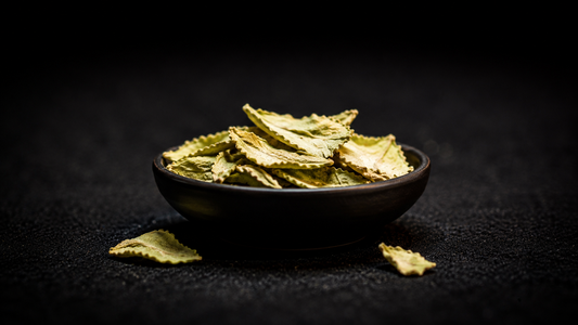 Premium Buchu Leaves