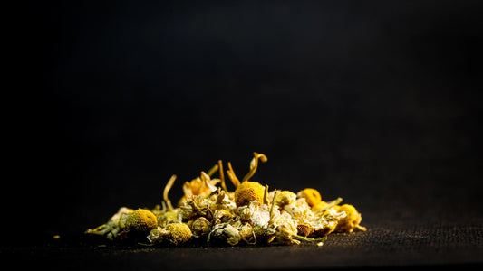 Premium Chamomile Flowers