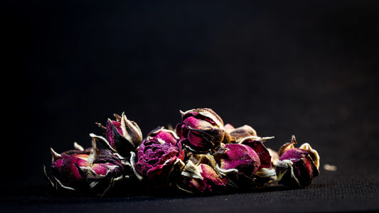 Premium Red Rose Buds