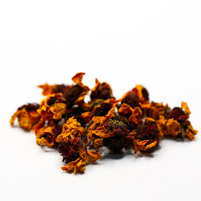 Premium Snow Chrysanthemum