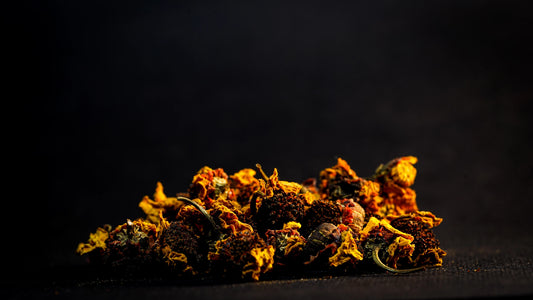 Premium Snow Chrysanthemum